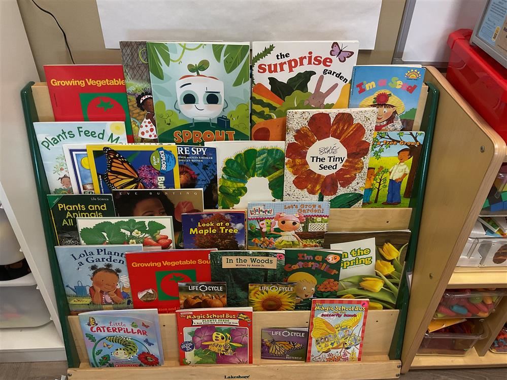 kindergarten kindergarten